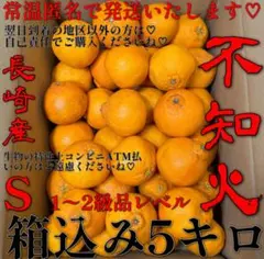 甘くて♡ジューシー♡*\(^o^)/**・不知火❤️1〜2級品レベル❤️S❤️5キロ❤️のサムネイル