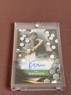 Item thumbnail for item 0c4d4660-3012-4e65-85f1-c50bb955af1f