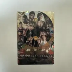 RIZINポテトスティックカード
