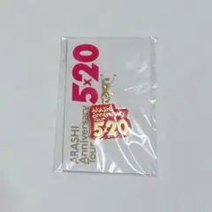 嵐 5×20 チャーム（赤）