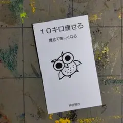 9w508※ふくろう護符『１０キロ-痩せて』開運絵画