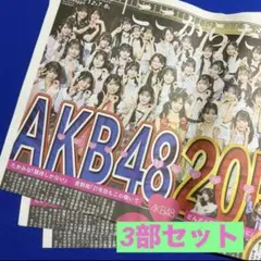 【即購入◎】AKB48 新聞 武道館 20周年特集 日刊スポーツ 3部セット