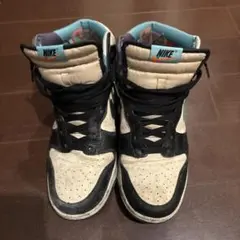 NIKE ダンクハイ