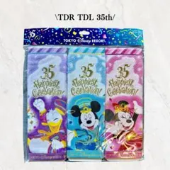 東京ディズニーリゾート 35周年タオルセット TDR ハンドタオル