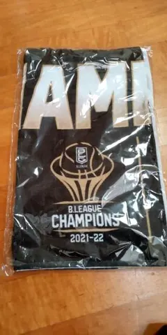 ※最終値下げ※宇都宮BREXChampionタオル