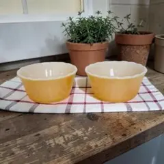 イギリス メイソンキャッシュ ストーンウエア 耐熱皿 2枚セット - メルカリ