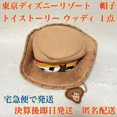 東京ディズニーリゾート　トイストーリー　ウッディ　帽子　１点　匿名配送