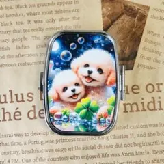 P801 ハンドメイド ピルケース 薬箱 小物入れ　トイプードル　泡　夜空　犬