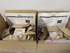 ポケモンカード　テラスタルフェスex 2BOX分 シュリンク付　新品未開封