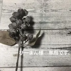 ぴーまん様　専用です。