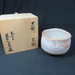 【新品未使用】志野　抹茶茶碗　作家　林健人　木箱付き 抹茶碗 | 志野茶碗 (TH-072) 作家「林健人」