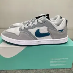 NIKEナイキレディーススニーカー ランニングジョギングシューズSB新品23.5のサムネイル