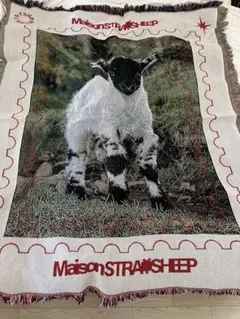 未使用品 Maison Straysheep メゾンストレイシープラグ 2026年最新】Straysheep rugの人気アイテム - メルカリ