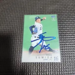 2025年最新】西武 ライオンズ サインの人気アイテム - メルカリ