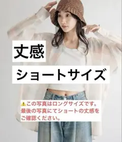 LOWRYS FARM ローリーズファーム　シアーシャツ　ショート丈