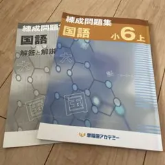 早稲田アカデミー　四年下　予習シリーズと錬成問題集など通塾スターターセット 早稲田アカデミー 四年下 予習シリーズと錬成問題集など通塾