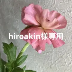 hiroakin様専用　不明