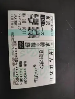 ジャパンカップ　カランダガン現地応援馬券