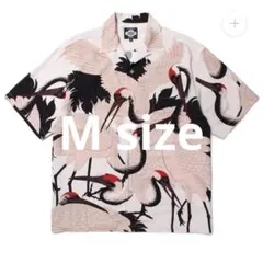 Item thumbnail for item 7f0eb856-0284-40fb-a4e2-55af96c484bc