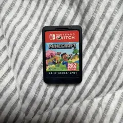 Nintendo Switch Minecraft ソフト　マイクラ