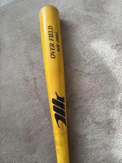 Item thumbnail for item 6b61a5e8-8a98-430a-b812-f21a3125649c