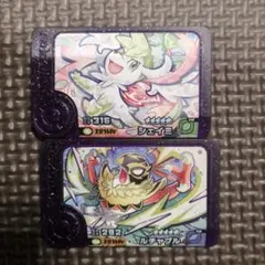 未使用　ポケモンフレンダ　シェイミ　ルチャブル