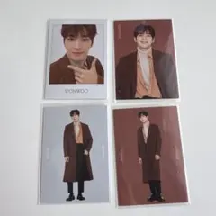 ウォヌ　ウィンタートレカ　SEVENTEEN