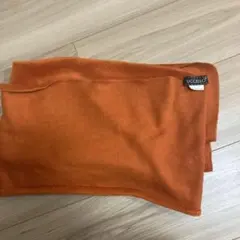 Item thumbnail for item 80143c66-d352-41cf-b623-68e66e20bacb