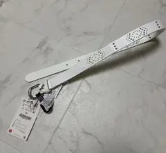 Item thumbnail for item c097c37c-a31b-491f-b0fa-62343042db7a