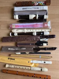 Item thumbnail for item 50cf50c4-9ec1-47bc-b9a1-dda88587876d