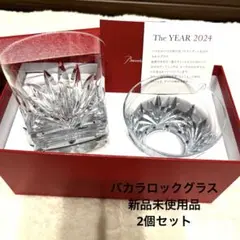 Baccaratルテシア　ロックグラス2個セット