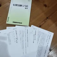 河合塾マナビス 私大現代文読解(レベル5) 前半