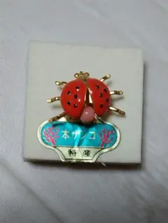 2026年最新】てんとう虫ブローチの人気アイテム - メルカリ