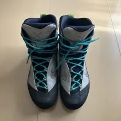 Item thumbnail for item b2ba8490-06ed-4251-ab3f-7ac9aa9b2066