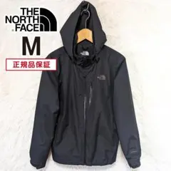 THE NORTH FACE ノースフェイスマウ ンテンパーカー メンズM 韓国