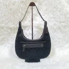 【極美品】COACH ワンショルダーバッグ 総柄 シグネチャー 黒 6045