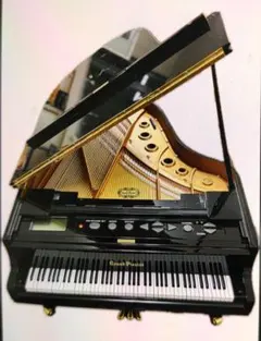 2025年最新】グランドピアニストの人気アイテム - メルカリ