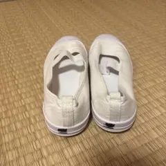 上靴 24.5