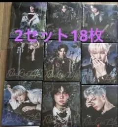 &TEAM Back to Life CD18枚セット トレカ 18枚セット