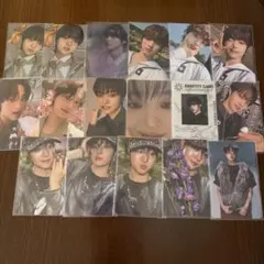 &TEAM EJ ウィジュ　トレカ　17枚セット