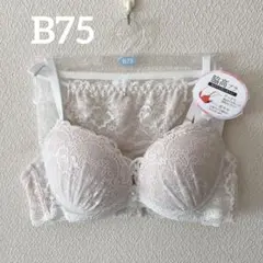 新品 ブラジャー ショーツ セット B75 M アイボリー 白 レース セクシー