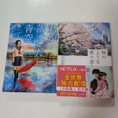 君が落とした青空 桜のような僕の恋人 文庫本2冊セット