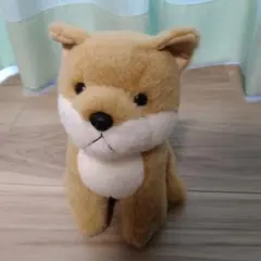 STAR CHILD　スターチャイルド　柴犬　ぬいぐるみ　犬　動物　アニマル