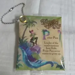 東京ディズニーシー ピーターパン キーホルダー