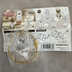 わんこのタイムカプセル　【ラテ】