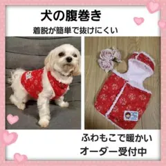 Item thumbnail for item f9c67749-bc29-4178-8aea-08edf960228e