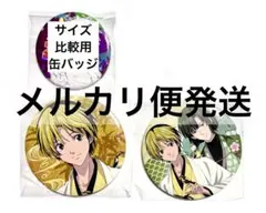 ヒカルの碁 進藤ヒカル 塔矢アキラ 花鳥風月 ドリーム 쿠지 缶バッジ