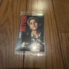 HiGH&LOW ハイロー　ウエハース　10 コブラ　COBRA 岩田剛典