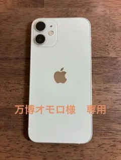 万博オモロ様専用iPhone12mini 64GB ミントグリーン【ジャンク品】