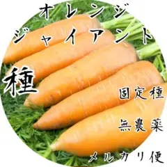 アリエル様 リクエスト 8点 まとめ商品